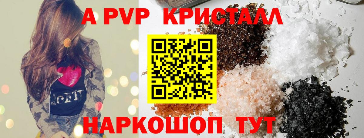 Alfa_PVP СК КРИС Апшеронск