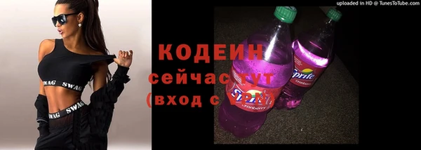 мет Няндома
