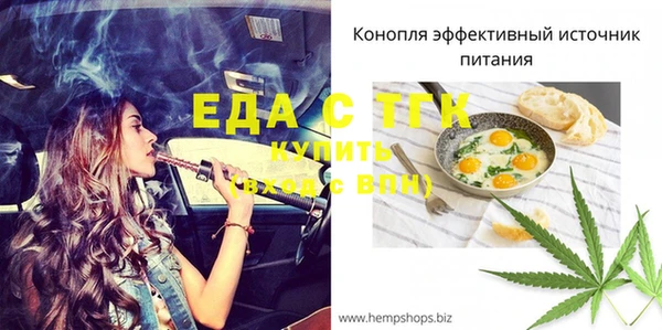 тгк Новодвинск