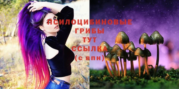 мет Няндома