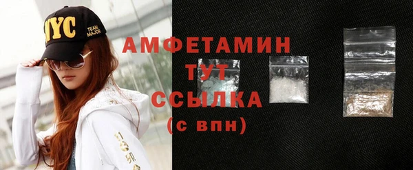 мет Няндома