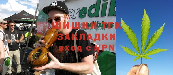 мет Няндома