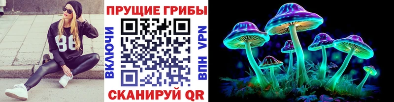 Галлюциногенные грибы Psilocybe  наркошоп  Апшеронск 