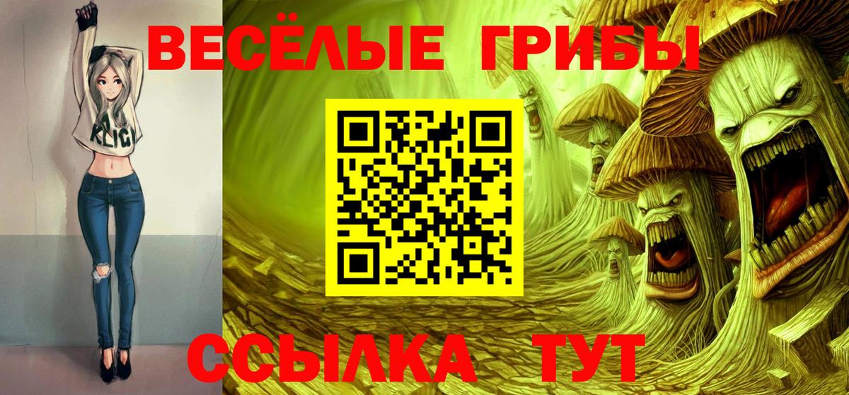 Псилоцибиновые грибы GOLDEN TEACHER Апшеронск