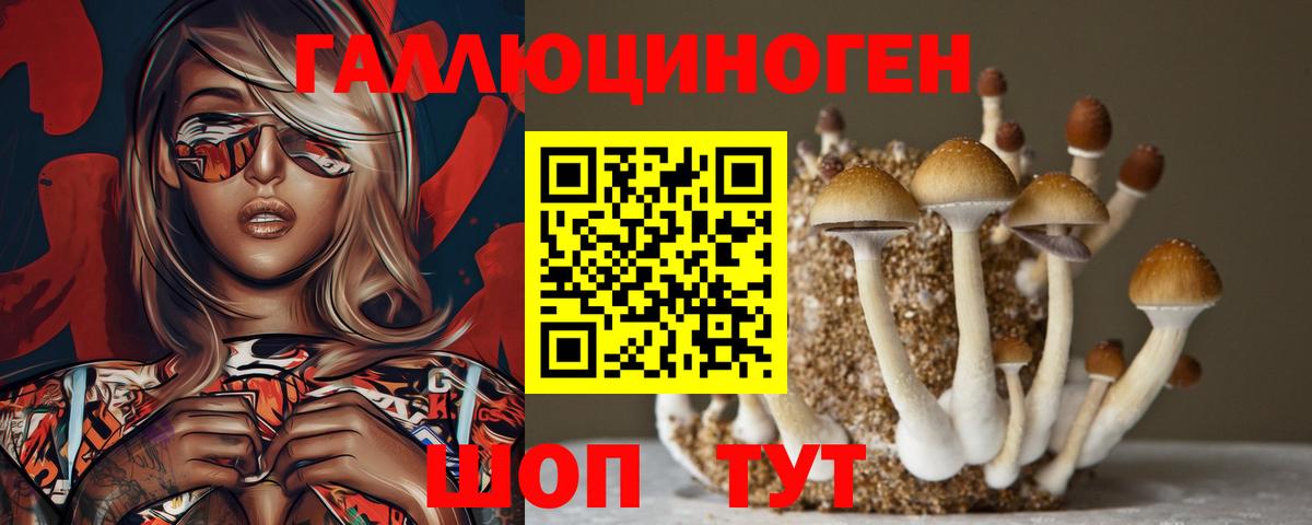 Псилоцибиновые грибы мухоморы  Галлюциногенные грибы мицелий  Апшеронск  Вход с VPN 