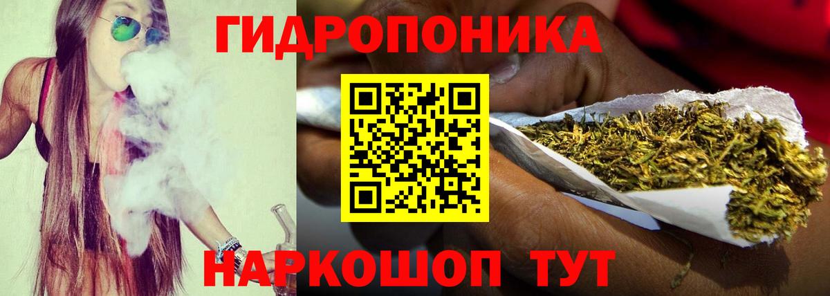 Конопля планчик Апшеронск